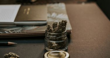 Forhandler af CBD-olie: Legalisering af medicinsk cannabis har endnu ikke afkriminaliseret hverken os eller vores produkter 